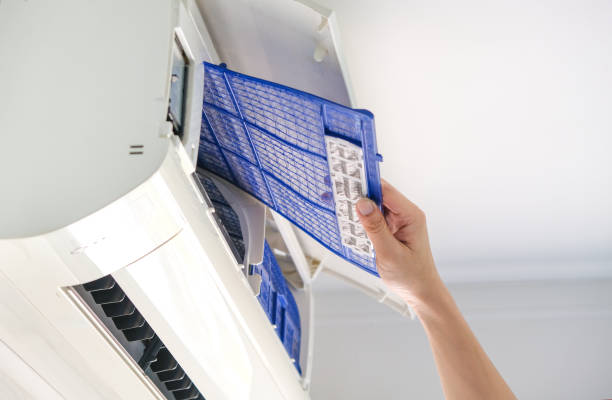 Best Local Air Duct Cleaning Services  in South Gate Ridge, FL
