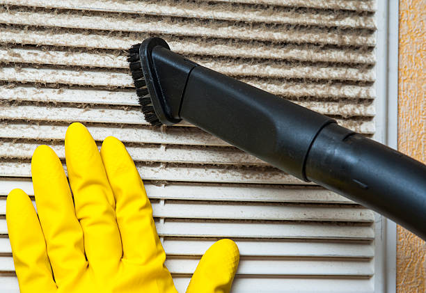 Best Air Duct Cleaning Company Near Me  in South Gate Ridge, FL